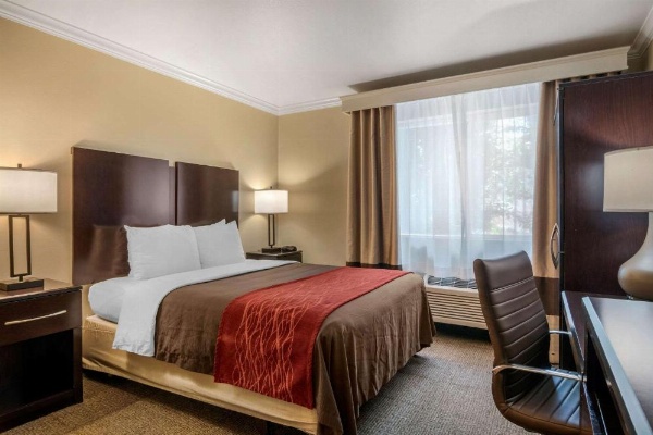 Comfort Inn Columbia Gorge image 30